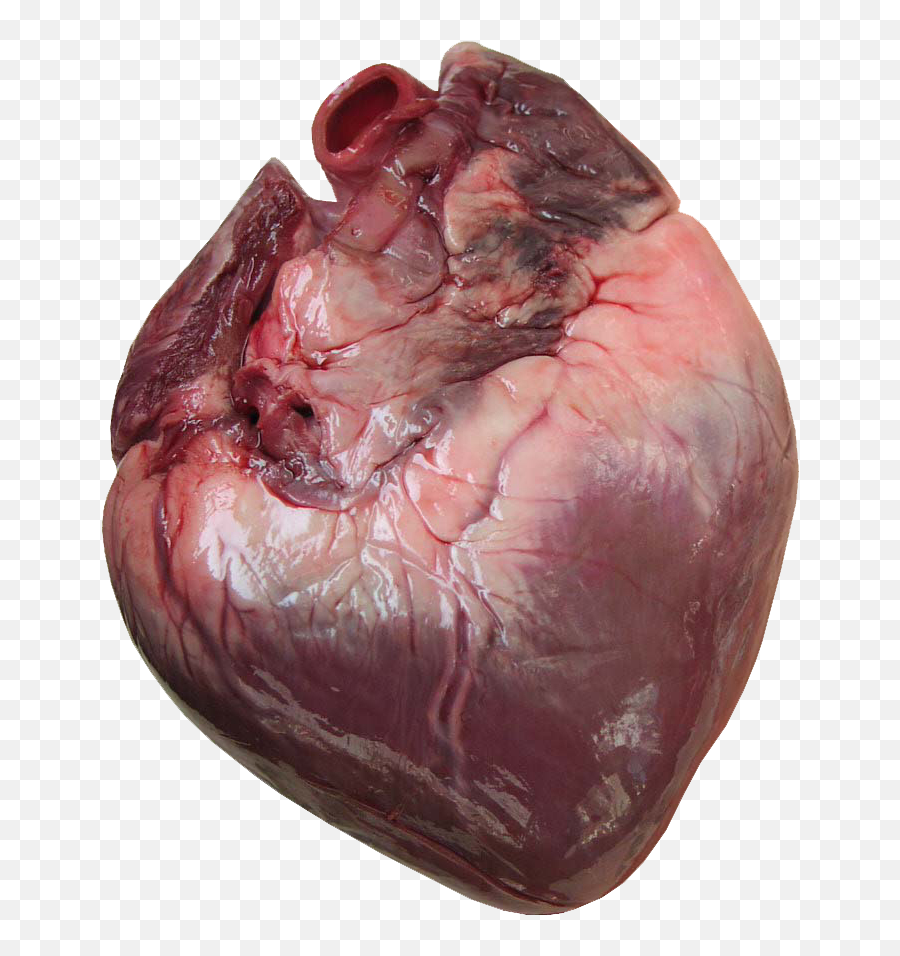 Human Heart - Heart Look Like Emoji,Human Heart Png