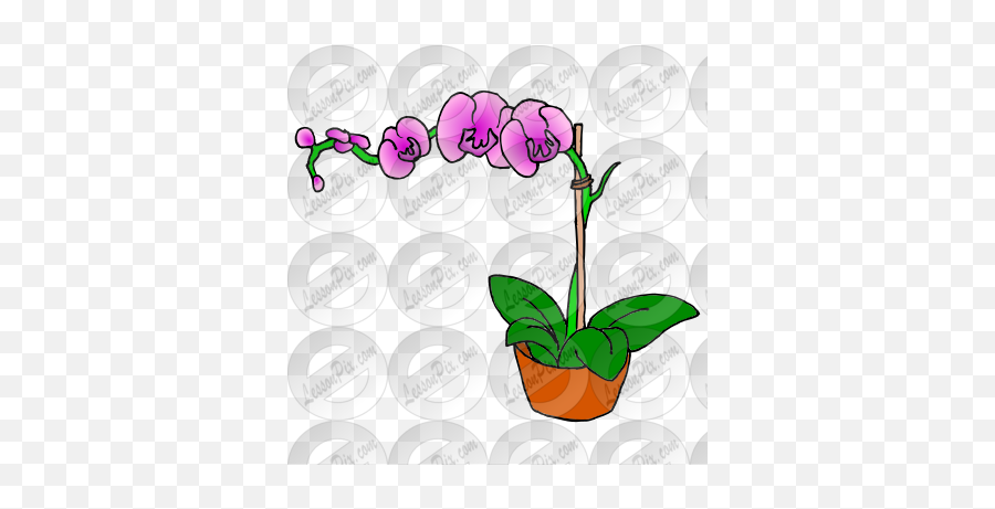 Orchid Picture For Classroom Therapy - Floral Emoji,Orchid Clipart