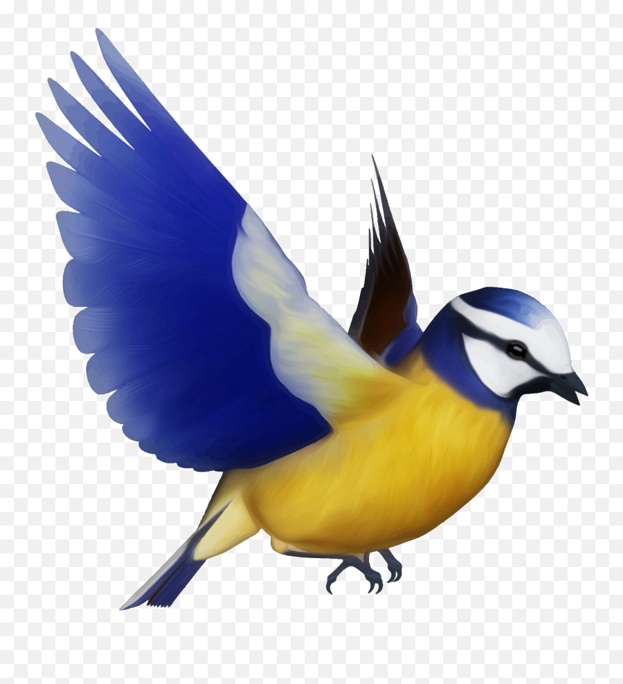 Flying Bird Clipart Bird Png - Bird Png Emoji,Birds Png