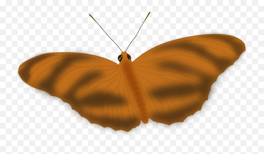Butterflysymmetrymoth Png Clipart - Royalty Free Svg Png Emoji,Monarch Clipart