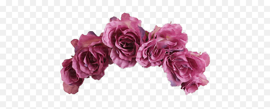 Pink Roses Crown Emoji,Crown Transparent Tumblr