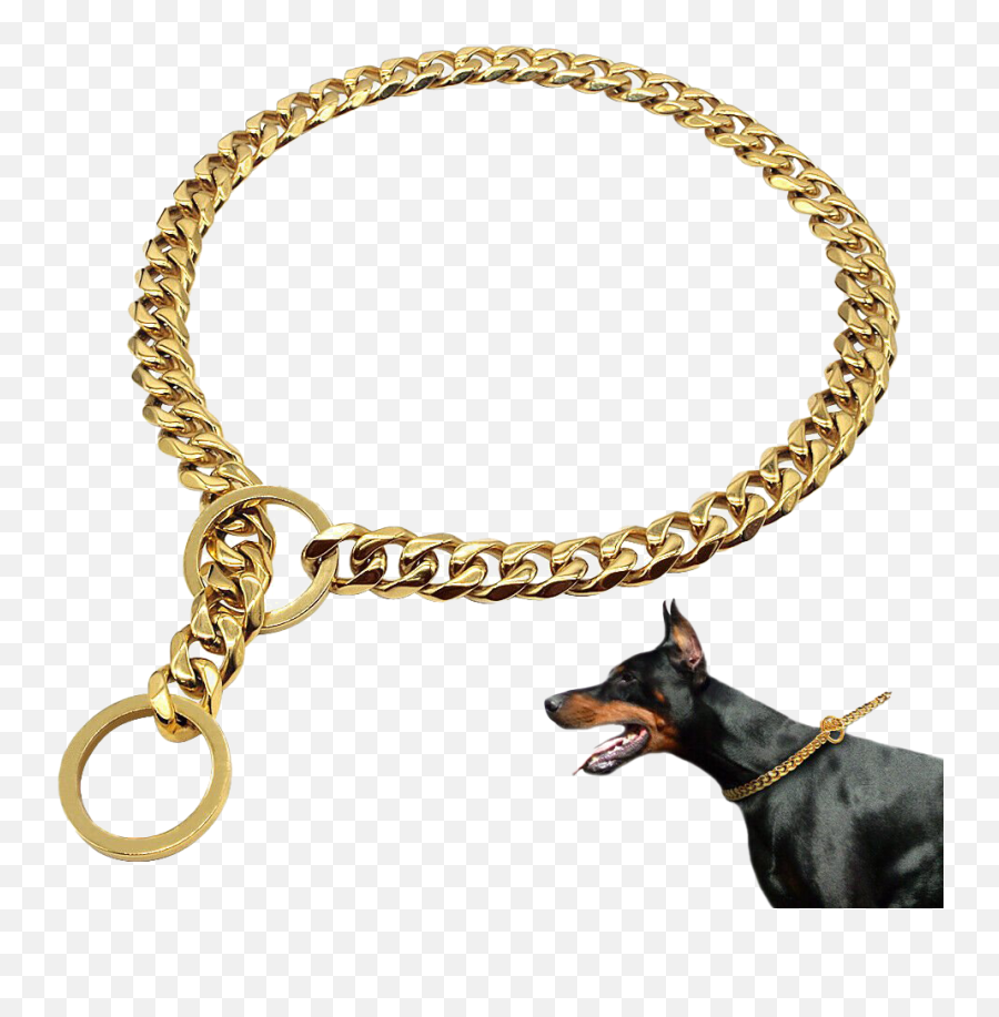 Dog Chain Png Transparent Images Png All - Dog Chain Collar Emoji,Gold Chain Png
