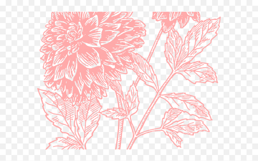 Dahlia Clipart Large Flower - Brother And Sister Quotes Pics Emoji,Dahlia Clipart