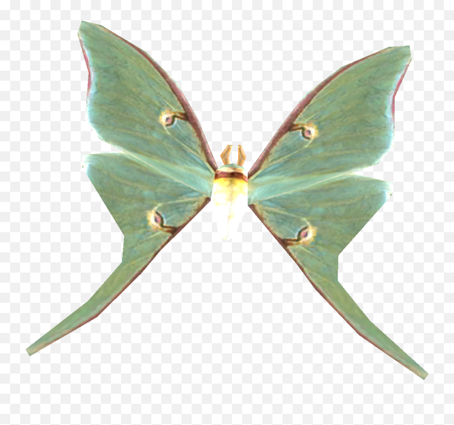 Download Skyrim Luna Moth Wing Png Image With No Background - Luna Moth Wing Transparent Emoji,Moth Transparent