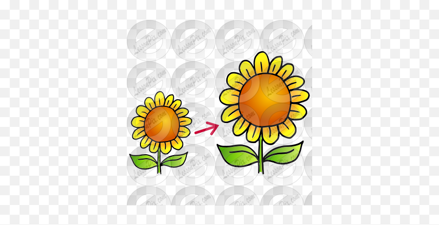 Grow Picture For Classroom Therapy Use - Great Grow Clipart Emoji,Sunflower Garden Clipart