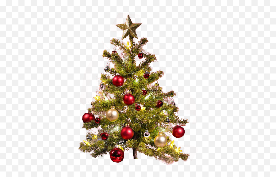 Small Christmas Tree Transparent - Transparent Background Png Format Christmas Tree Png Emoji,Christmas Tree Png