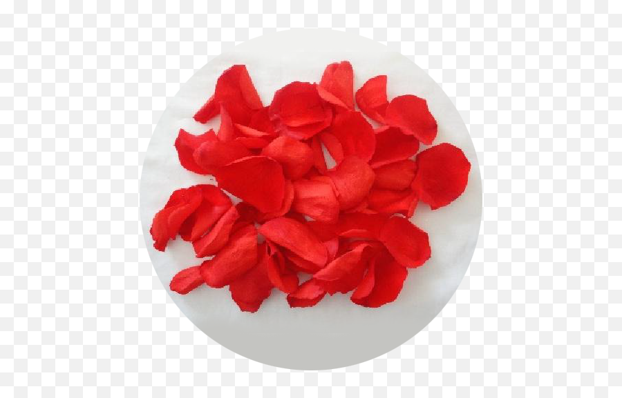 Rose Petals - Asmini Flowers Artificial Flower Emoji,Rose Petals Png