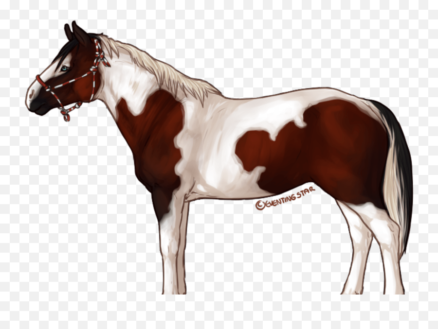 Horse Sim Game - Horse Star Stable Transparent Emoji,Horse Transparent