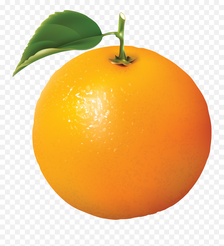 Orange Png Image Free Download - Orange Clipart Emoji,Orange Transparent