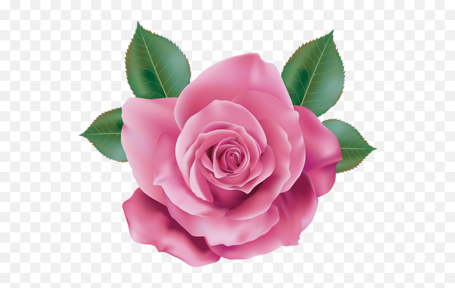 Pink Rose Png Pic - Alphabet In Monica Michielin Emoji,Pink Rose Png
