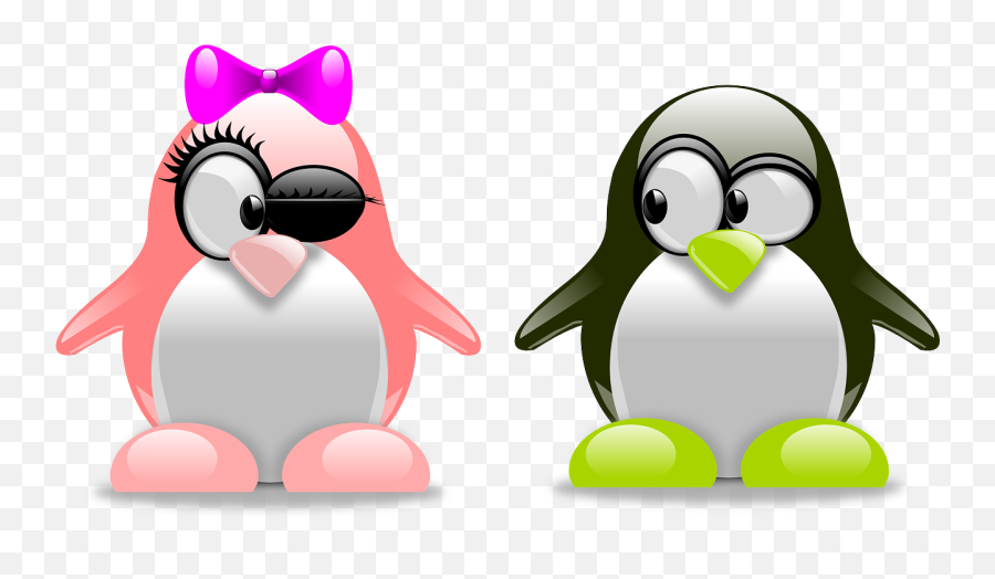 Penguins Art Amorous Love Tux Png Picpng - Funny Quotes On Pregnancy By Husband Emoji,Loving Clipart