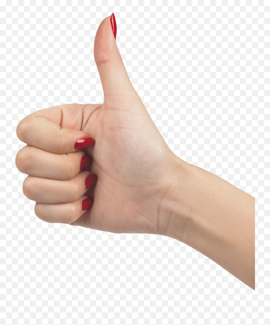 Download Png Image Like Hands Png Hands Hand Drawing - Hand Png Emoji,Hands Png