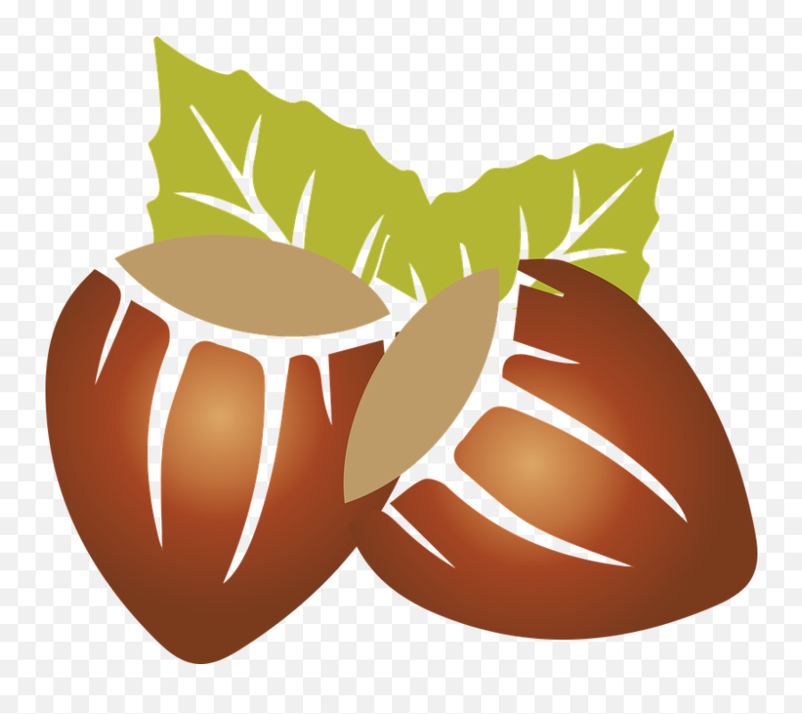 Almond Clipart Dry Fruit - Hazelnut Svg Emoji,Dry Clipart