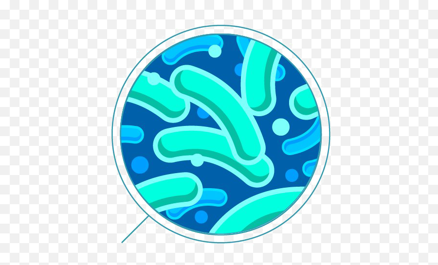 Bacteria Png Transparent - Transparent Bacteria Png Emoji,Bacteria Png