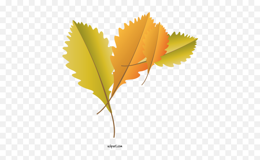 Nature Gear Wheel Sprocket For Autumn - Autumn Clipart Emoji,Wheels Clipart