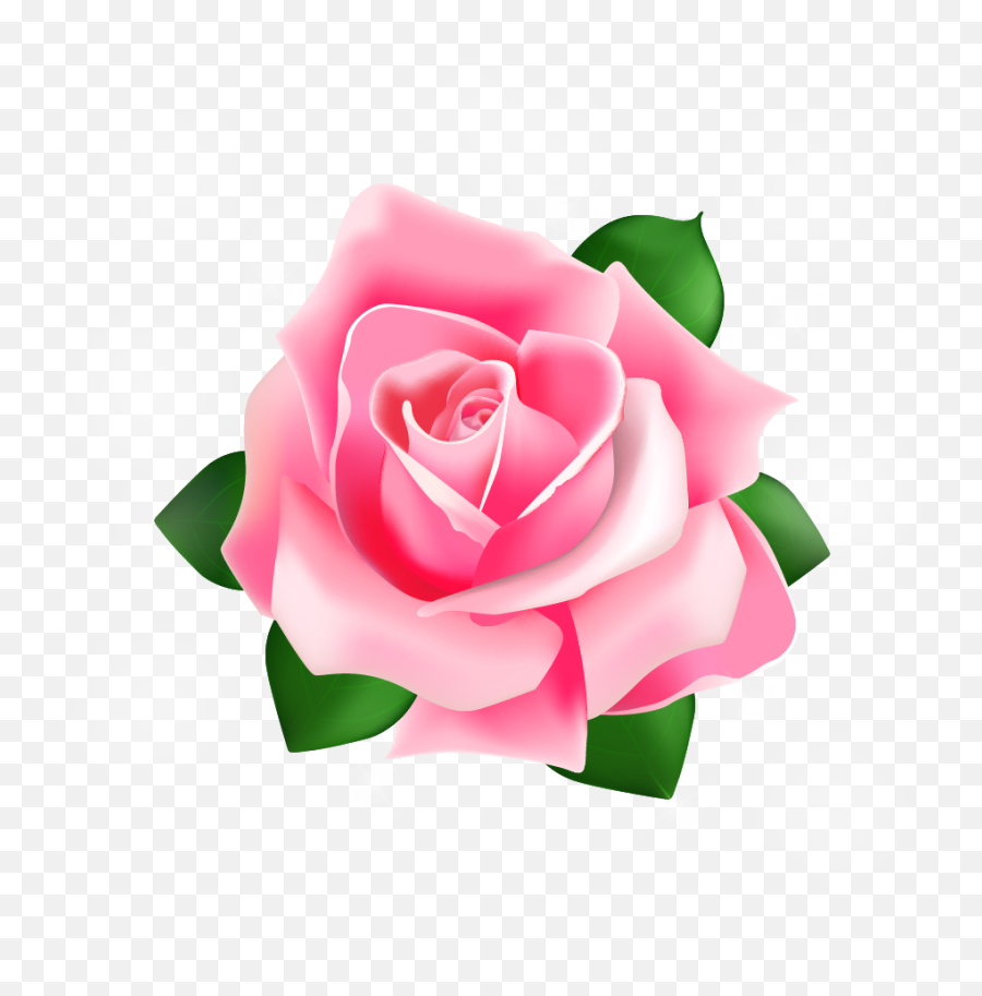 Rose Pink - Rose Vector Transparent Emoji,Rose Transparent