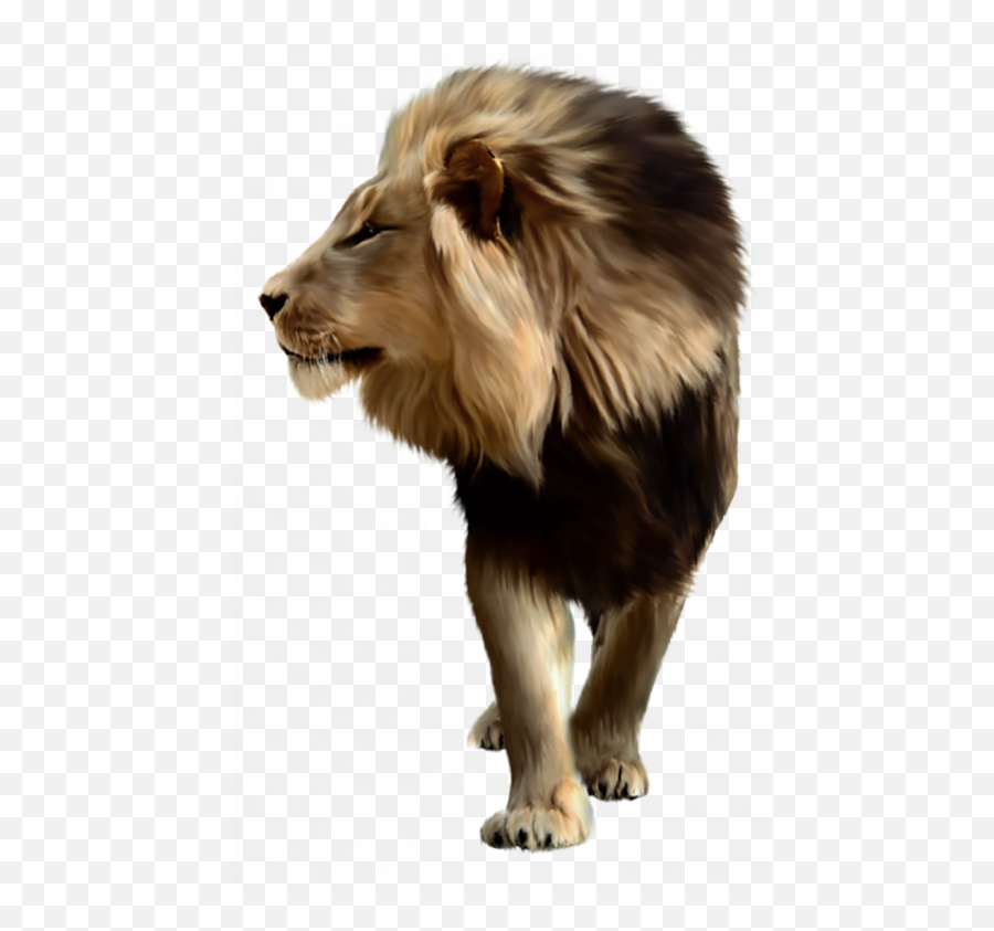 Transparent Lion Png Images Download Hd - 2021 Full Hd Emoji,Lion Face Png