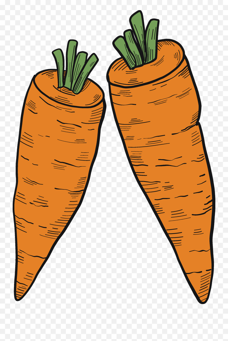 Two Carrots Clipart - Two Carrot Clipart Emoji,Carrot Png