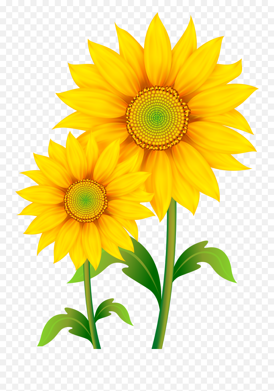 Free Sunflowers Cliparts Download Free - Nice Yellow Flower Background Emoji,Sunflower Clipart