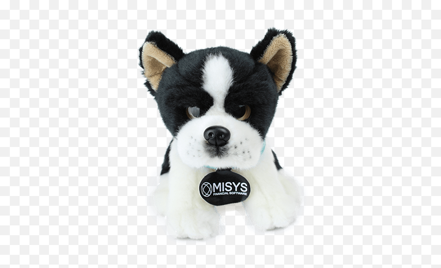 Misys - Bostonterrier Magic Kingdom Emoji,Boston Terrier Png