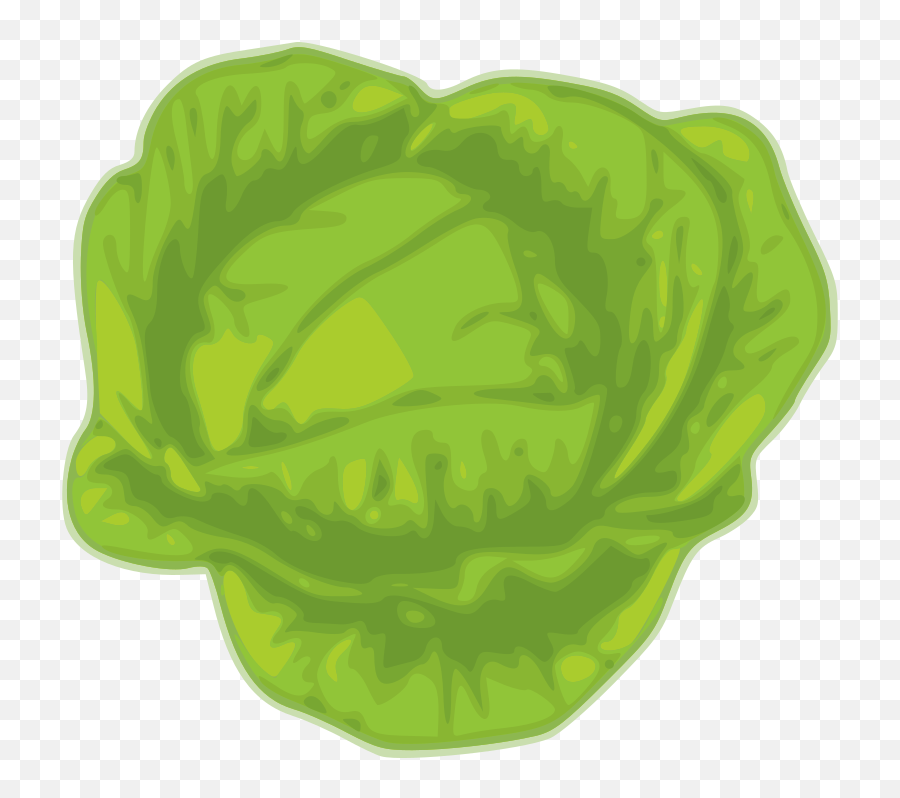 Cabbage Svg Vector Cabbage Files For Cutting Cabbage Clip Emoji,Icebergs Clipart