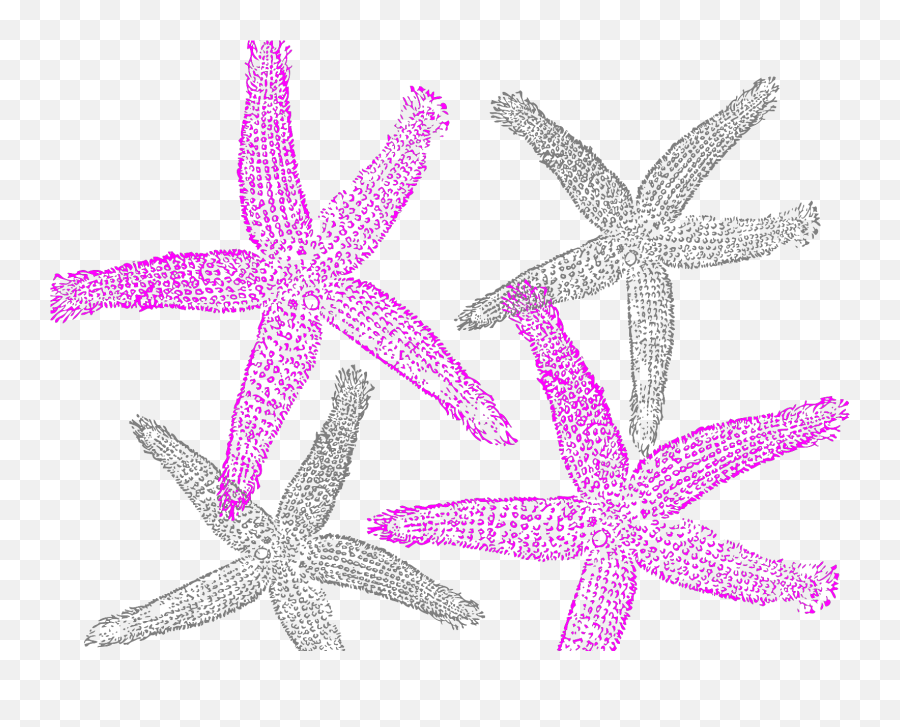 Starfish Prints Svg Vector Starfish Prints Clip Art - Svg Emoji,Starfish Clipart Png