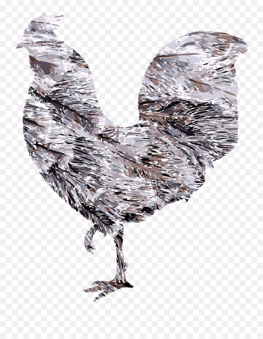 Roosterchickenbirdfeathersclipart - Free Image From Chicken Emoji,Chicken Clipart Black And White