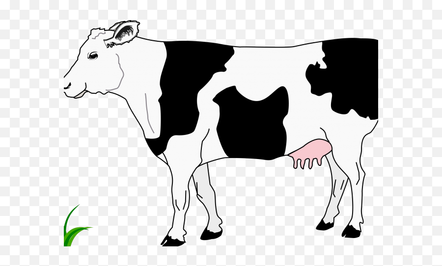 Download Cattle Clipart Cow Head - Transparent Background Cow Clipart Black And White Emoji,Cow Face Clipart