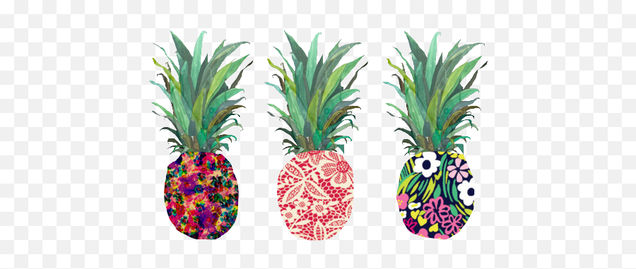 Tumblr Pineapple Png U0026 Free Tumblr Pineapplepng Transparent - Desktop Backgrounds Pineapple Emoji,Pineapple Clipart