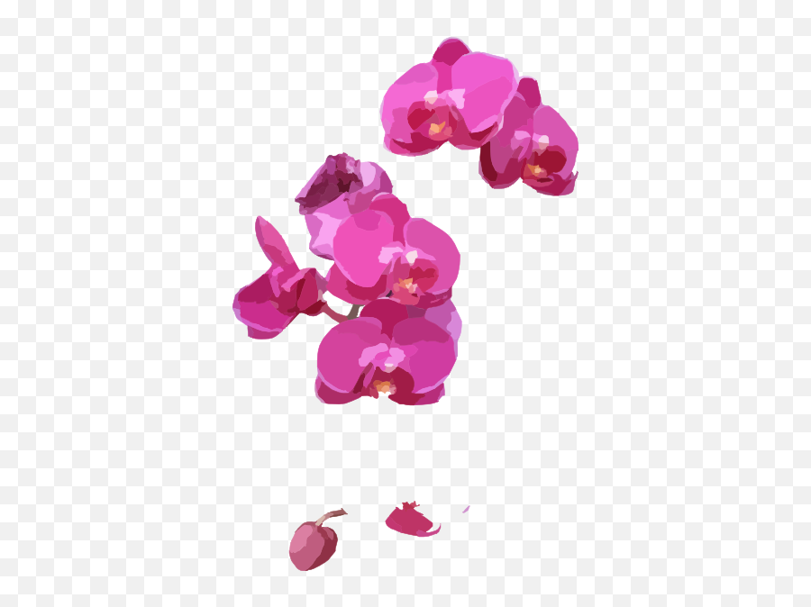 Orchid Clipart Png In This 1 Piece - Orchid Petals Clipart Png Emoji,Orchid Clipart