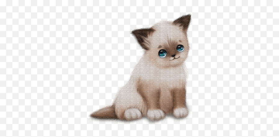 Image Chat - Picmix Emoji,Siamese Cat Clipart