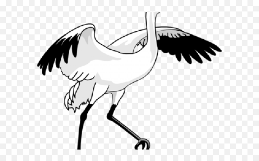 Whooping Crane Clip Art Png Image With - Crane Bird Drawing Png Emoji,Swan Clipart