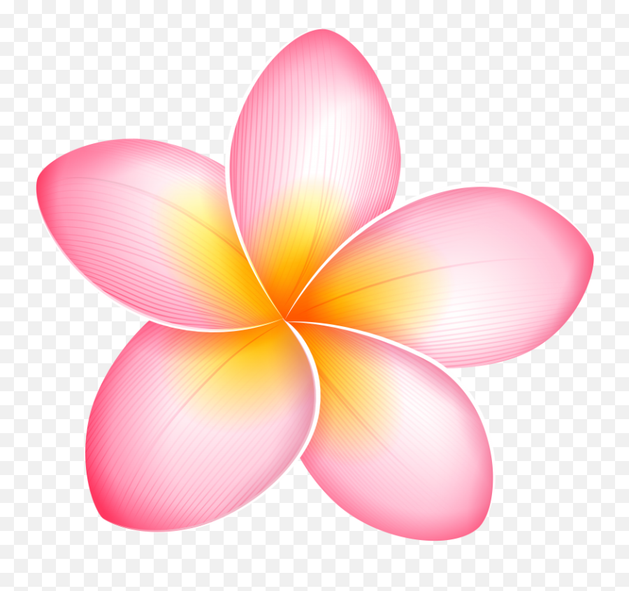 Clipart Bow Dark Pink Flower Picture - Flower Png Clipart Emoji,Pink Flower Clipart