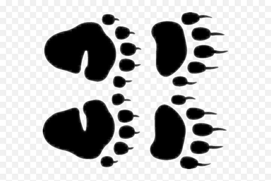 Recognizing Bear Signs Iseemammals - American Black Bear Footprint Silhouette Emoji,Claw Marks Png