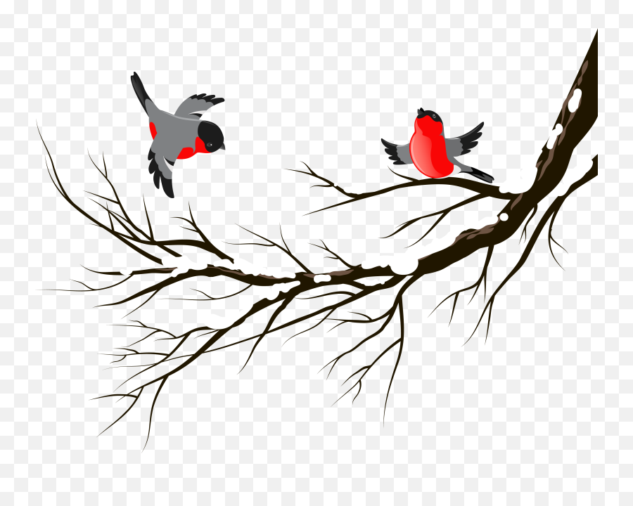 Bird European Robin Winter Clip Art - Bird European Robin Winter Background With Bird Emoji,Robin Clipart
