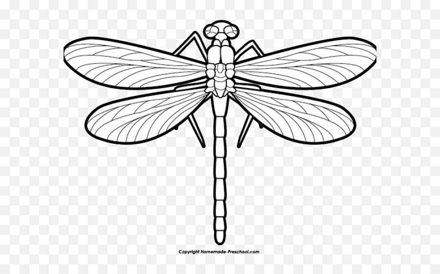 Insect Coloring Pages Clip Art - Clip Art Dragonfly Outline Emoji,Dragonfly Clipart