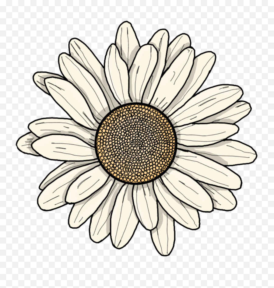 Tumblr Flower Png - Flower Cartoon Sticker Stacy Koontz Wildflower 5sos Art Emoji,Daisy Transparent Background
