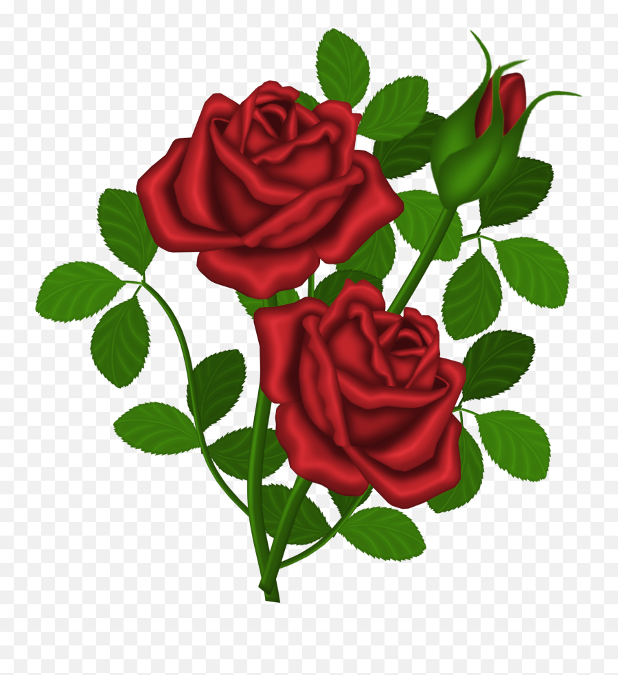 Rose Clipart Flower Art Red Roses - Clipart Of Rose Plant Emoji,Rose Clipart