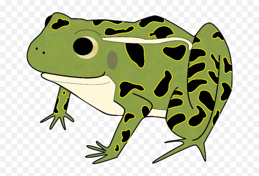 Frog Clipart Bullfrog Frog Bullfrog - Bullfrog Clipart Emoji,Frog Clipart