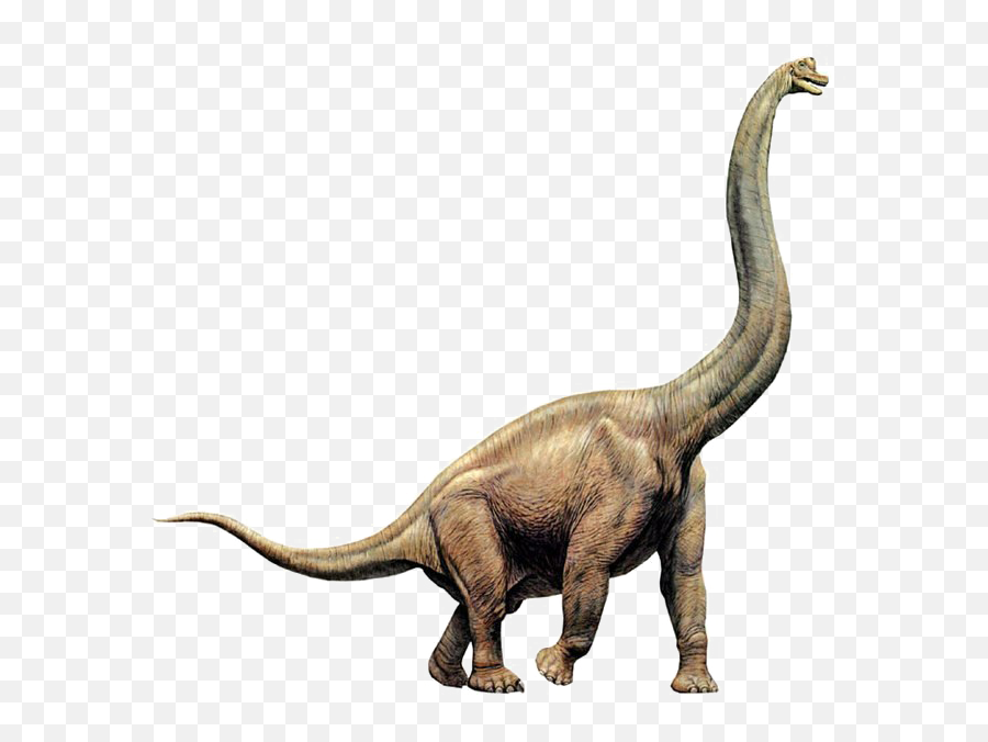 Dinosaur - Brachiosaurus Png Emoji,Dinosaur Png