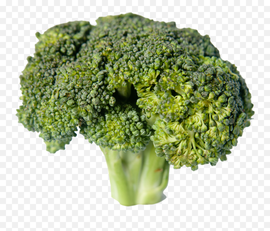 Broccoli Vegetable Food - Broccoli Png Download 23401884 Brocoli Png Emoji,Broccoli Clipart