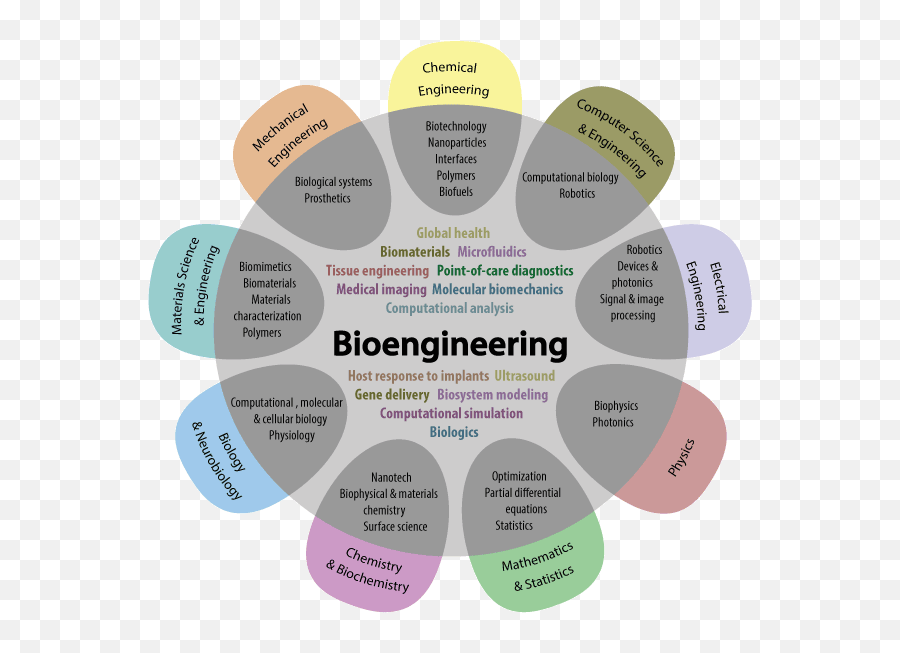 Is Bioengineering Right For Me Uw Bioengineering Emoji,Biology Png