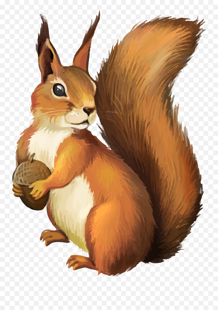 Tags - Transparent Background Squirrel Clipart Emoji,Squirrel Png