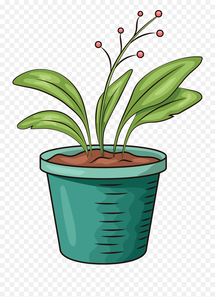Flower In Pot Clipart Free Download Transparent Png - For Indoor Emoji,Flower Pot Clipart