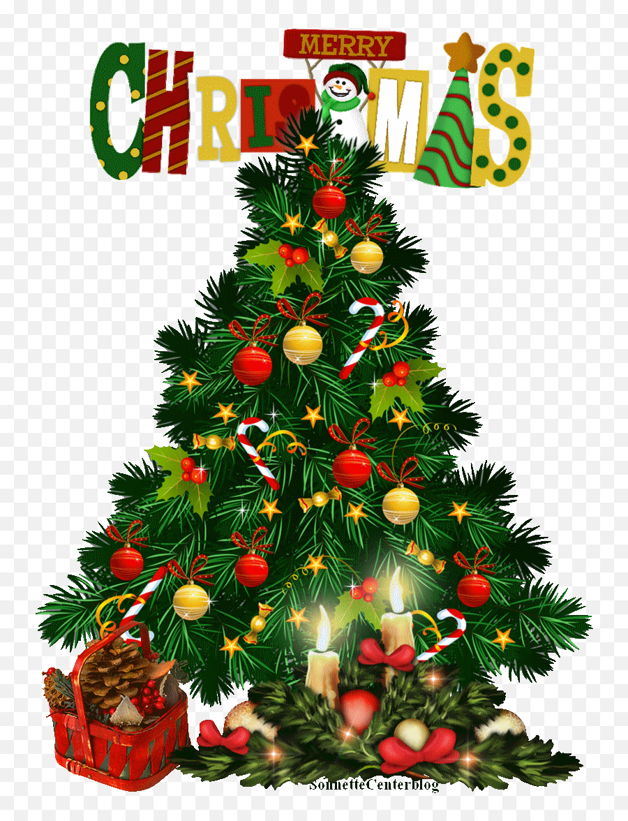 Download Christmas Tree Png Transparent - Pine Tree Christmas Png Emoji,Christmas Lights Gif Transparent