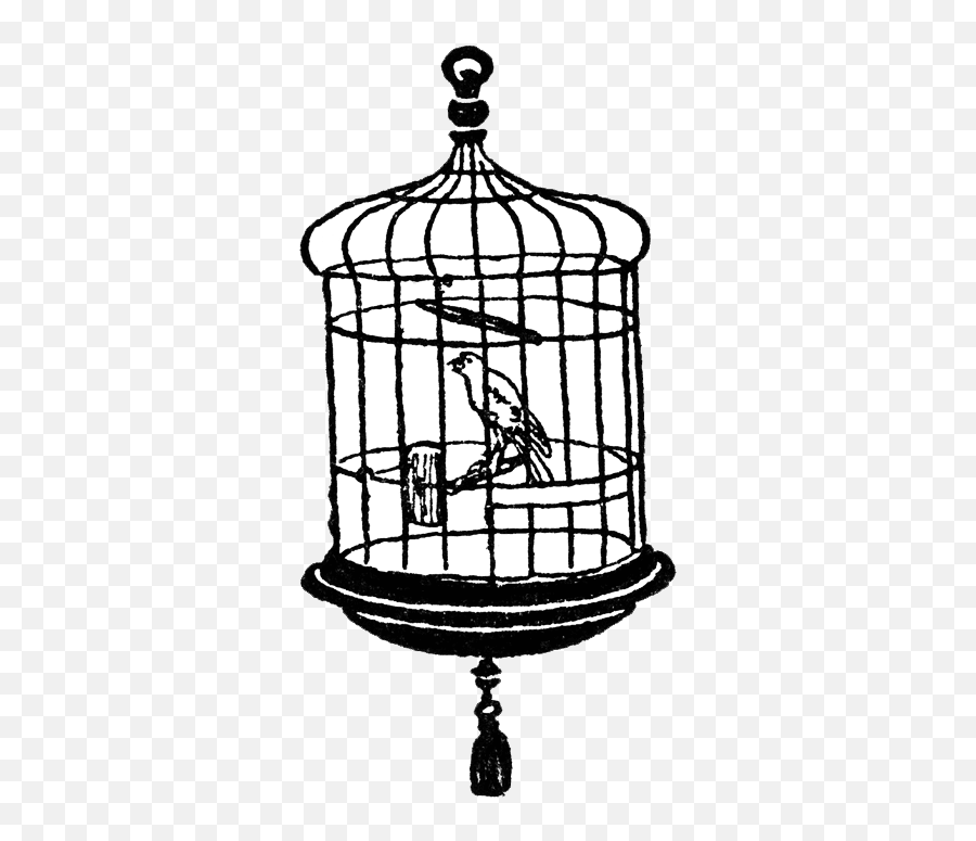 Download Hd Bird Cage Transparent Clipart - Bird In Cage Bird In The Cage Black And White Emoji,Cage Transparent