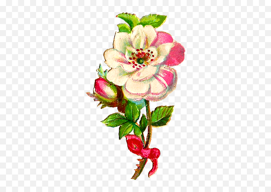 Vintage Roses Png - White Rose Clipart Vintage Rose Clip Floral Emoji,Rose Clipart