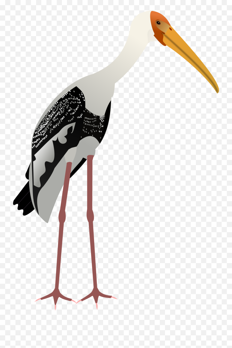 Painted Stork Emoji,Stork Png