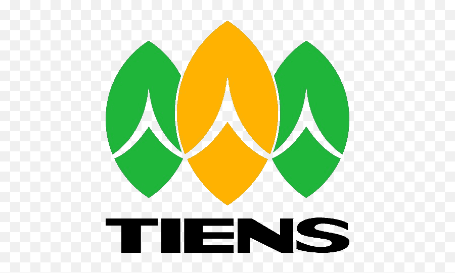 Tiens Logo And Symbol Meaning History Png - Tianshi Bangladesh Co Ltd Emoji,Google Old Logo