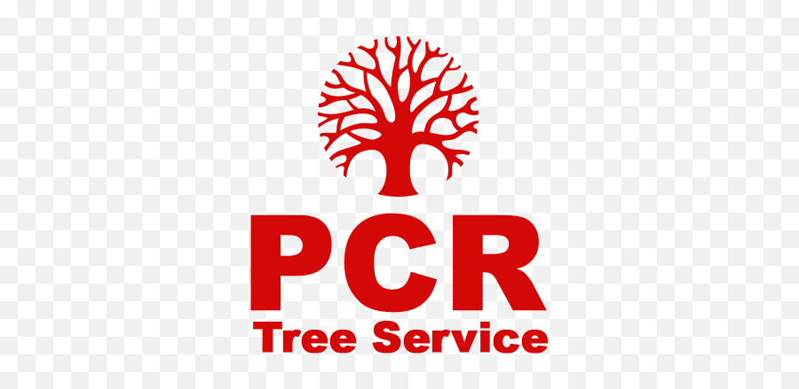 Tree Removal Service Chattanooga Tn - International Foundation Of Mediterranean Diet Ifmed Logo Emoji,Tree Services Logos